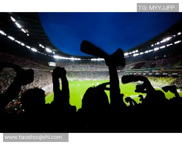 大牌足球明星球迷的激情与追随者心声的碰撞与共鸣